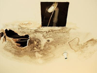 Professional water damage restoration services in Bowling Green